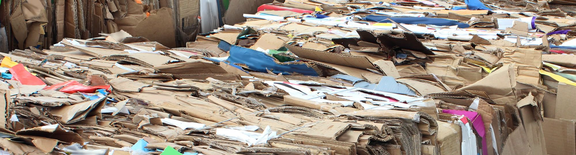 Convoyeur papiers et cartons