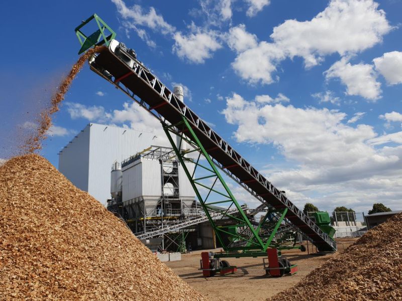 Convoyeur sauterelle biomasse mise en tas